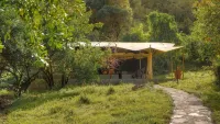 Entumoto Safari Camp - 3-Star
