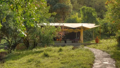 Entumoto Safari Camp