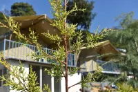 Camp Cedar Hotels in Mandi
