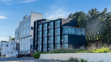 Donghae Donghaeleulkeulida Pension