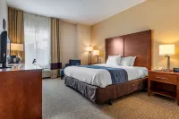 Comfort Inn Apalachin / Binghamton W Route 17 - WLAN