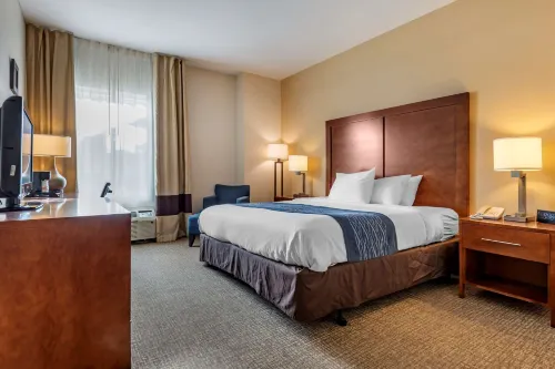 Comfort Inn Apalachin / Binghamton W Route 17 Hotels in Tioga County