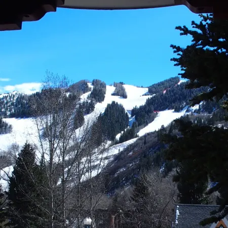 Tyrolean Lodge