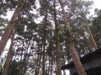 Ataco Luxury Cabin Hotels in Ahuachapan