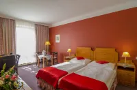 Wellness Hotel Gendorf Hotels in Vrchlabi