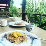 Villas Josipek Hotels in Chachagua