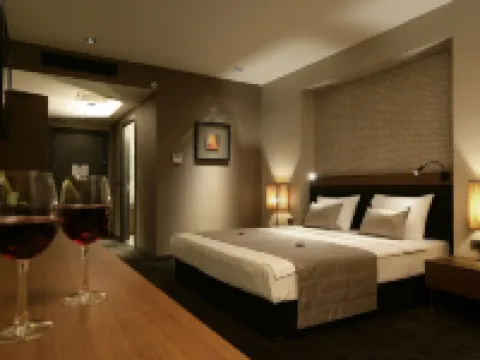 Rys Hotel Hotels in Edirne