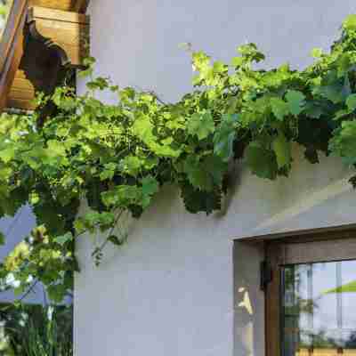 Hôtel La Garenne - Nature & Bien être - Alsace Hotel Exterior