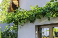Hôtel la Garenne Hotels in Saverne