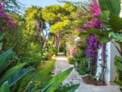 ロビンソン アプリア - オールインクルーシブ ウジェントのホテル