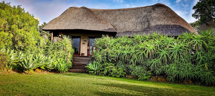 Addo Elephant Safari Lodge - Bellevue Forest Reserve Hotels in Western District
