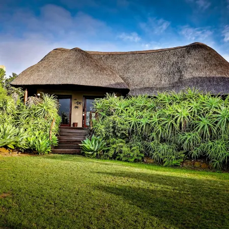 Addo Elephant Safari Lodge - Bellevue Forest Reserve
