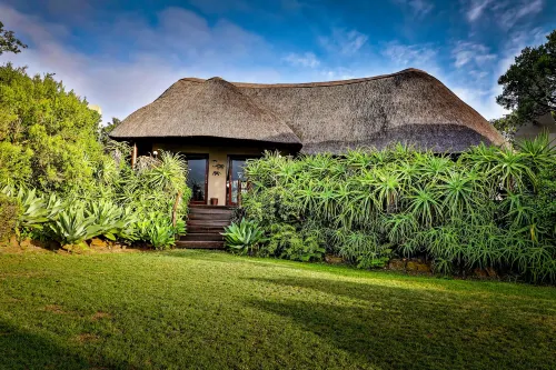 Addo Elephant Safari Lodge - Bellevue Forest Reserve