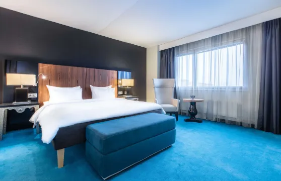 麗笙藍標酒店-馬爾默