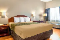 Econo Lodge Inn & Suites