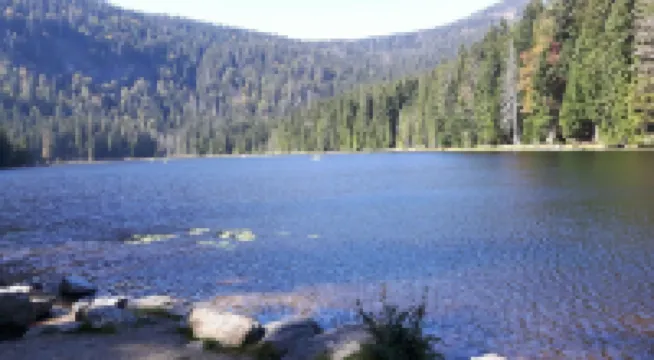 Pension / Ferienwohnungen Ludwig