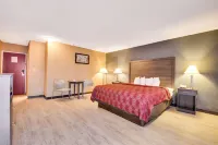 Econo Lodge Busch Gardens Hotels in Temple Terrace