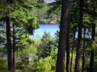 Inn to the Woods
