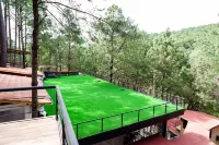 Grand Mazamitla Hotel Hotels in 