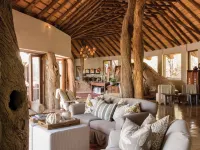 Madikwe Hills Hotels in Zeerust