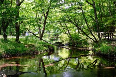 ホテル周辺 星野リゾート リゾナーレ那須の写真
