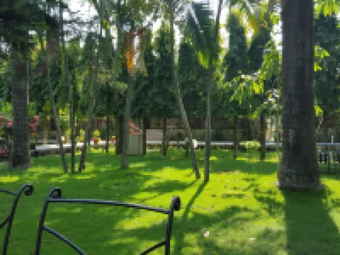 Jungle Safari Resort Hotels in Sauraha