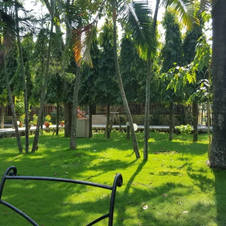 Jungle Safari Resort