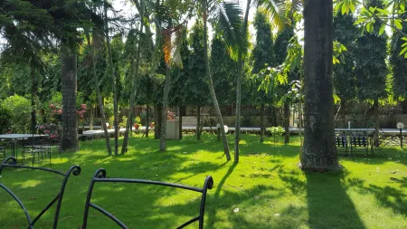 Jungle Safari Resort