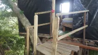 Castle Tree House Hotels in Iuiak