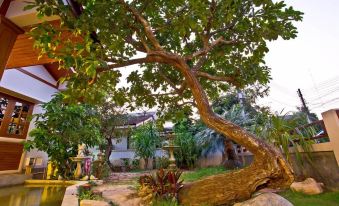 Tree Home Plus