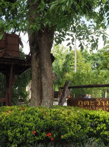 รูปภาพของภูตะวัน กาญจน์ รีสอร์ท