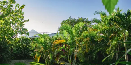 Arenal Descanso Отели рядом с достопримечательностью «Ла Фортуна Уотерфолл»