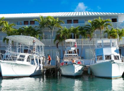The Marlin at Taino Beach Resort