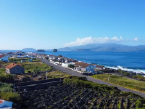 亞特蘭蒂斯微風 馬達萊納酒店