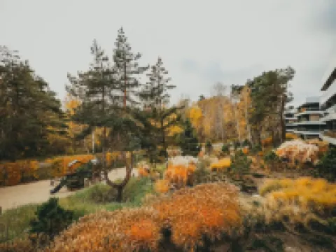 Parque Komfort i Spok j Blisko pla y Hotels in Rogowo