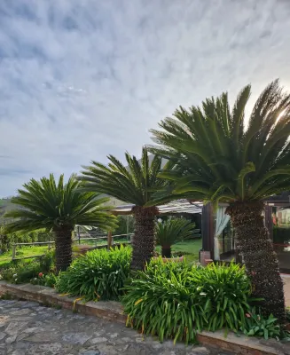 Tenuta D'Arienzo Hotels in San Severino
