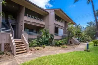 Modern & Tropical Oceanside Vistas Hotels in Kalepolepo Beach