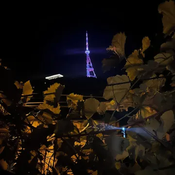 35 Arsena St Отели в г. Цхнети