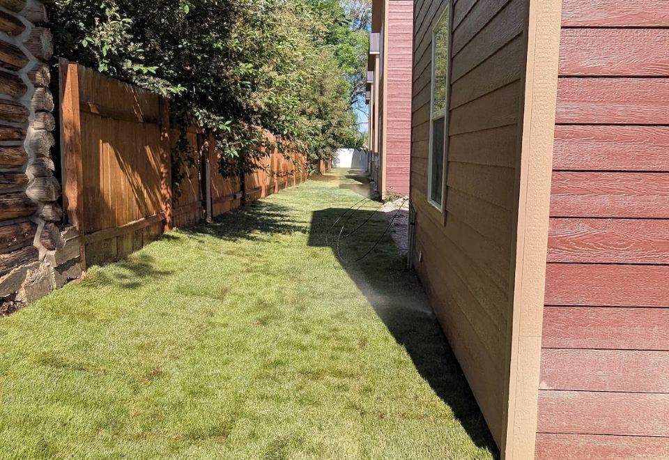 더 아이언 호스 인 이미지