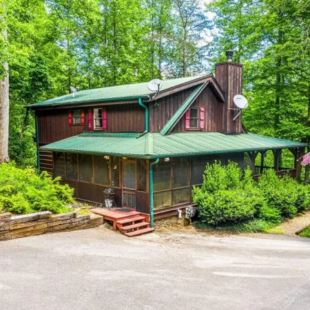 Pigeon Forge Cabin Game Roomdog Friendlyhot Tub