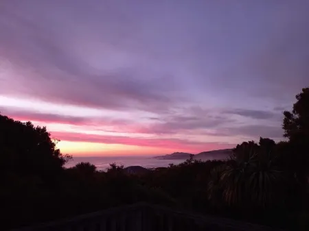 Kaka Point Holiday House Отели в г. Кака Пойнт