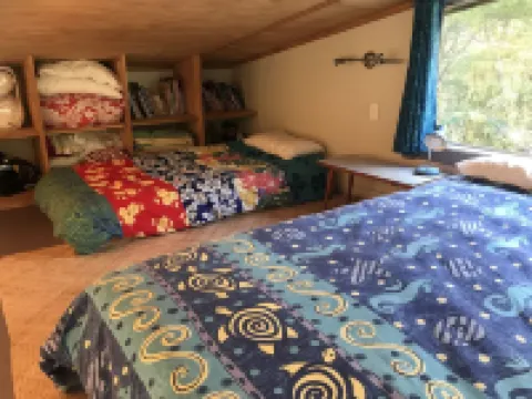 The Library Bach - A special place people love! Hoteles en 