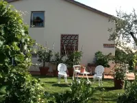 Promotion - Typical house. Hotels near Albero con gli Occhi