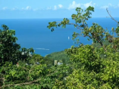 Private cottage, private pool, great views !