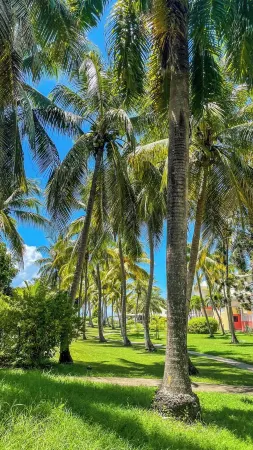 Apartment in swimming pool and beach residence