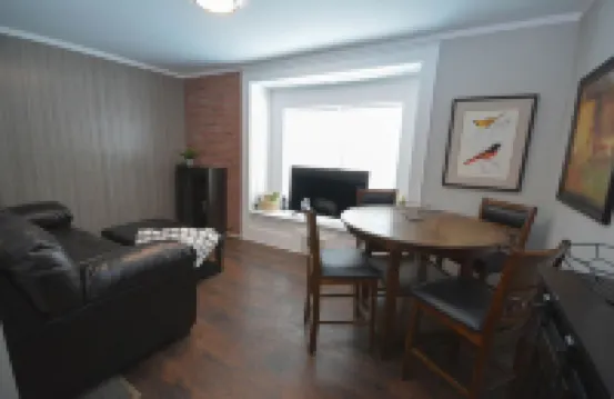 Beautiful 2 BR apartment near Mayo Clinic Campus