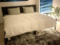 Four Shells - Your Home Away From Home on Paradise Island
