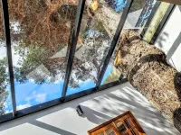 Beach Tree House at Paradise Island of Porto Santo Các khách sạn ở Vila Baleira