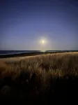 Cozy Cape Cod Getaway
