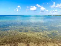 Oceanfront South Sound Home with magical sunsets! Hotels in George Town